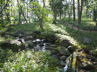 北の丸公園の小川
