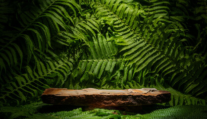 brown stones with texture and green leaves for the podium