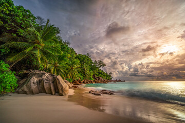 Scenic view of a serene tropical beach with lush greenery and dramatic clouds at sunset