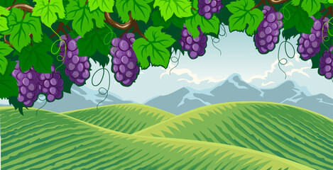 illustration of a view of a vineyard in the hills