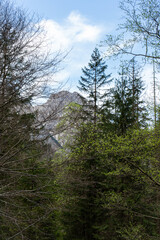 Beautiful mountain scenery. Mountains against the sky. 