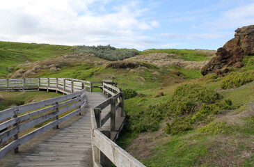 Wooden boardwalk winding through grassy terrain at The Nobbies on Phillip Island, Victoria, Australia