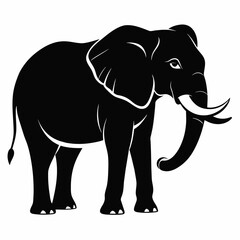 Fototapeta premium vector silhouette of an African elephant pose on a white background (1)