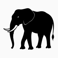 vector silhouette of an African elephant pose on a white background (4)