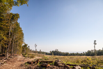 Panorama of a croatian logging camp, a lumber site in a forest in Papuk natural park, used to exploit wood resources, cut trees and produce forestry goods. Papuk is a mountain and a natural reserve.