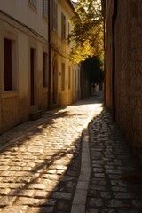 Obraz premium Charming cobblestone alley in historic european town