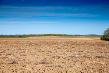 Panorama of fields, a green field & a brown plowed field with furrows on Agricultural landscape, in...