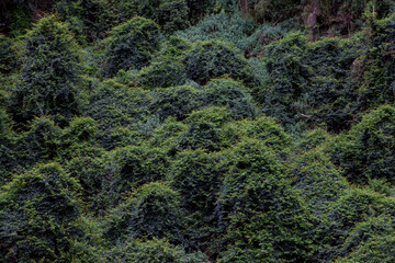 Mermaid Pools and Tahmoor Canyon,  Bargo, New South Wales, Australia
