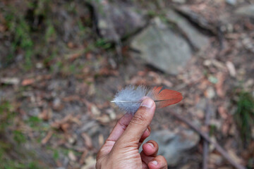 Mermaid Pools and Tahmoor Canyon,  Bargo, New South Wales, Australia