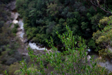 Mermaid Pools and Tahmoor Canyon,  Bargo, New South Wales, Australia