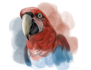 Nature Bird © Eduardo