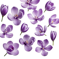 seamless pattern with violet flowers