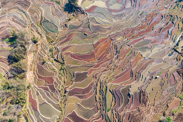 Aerial photography of terraced fields in Yuanyang, Yunnan