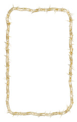 Modern Faith in Gold & Thorns  vertical frame intricately woven from golden thorns. A powerful symbol for modern art and Christian projects, exploring themes of faith and the divine  & suffering.