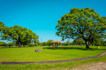 【熊本】水前寺江津湖公園