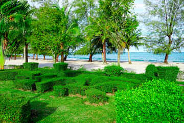 Beach in Sihanoukville. Palm trees and blue sea