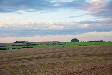 Landscapes of the pampas at dusk in southern Brazil