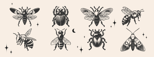 hand drawn insects set in Y2K style. Monochrome butterfly, moth, beetle, bug, honeybee, wasp ink drawing. Decorative sketch collection for vintage tattoo, sticker, poster, print.