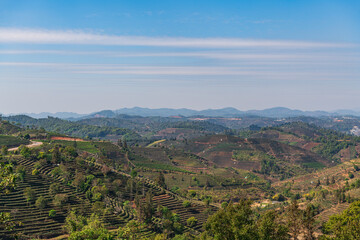 Obraz premium Scenery of tea mountain in China Pu'er Tea Expo Garden