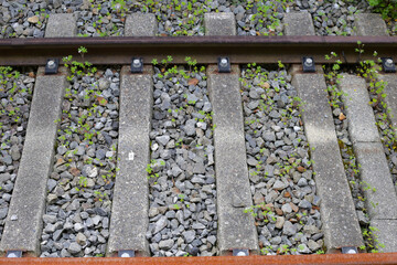 Railway tracks with green plant