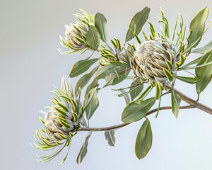 A hyper-realistic, split tone shot of Baku's exotic flowers at dusk, with a grunge and blurred effect.