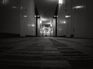 Dark mysterious corridor in hotel building, low angle shot. Door room perspective in lonely quiet...