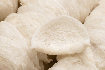 Stack of Raw Bird nest close up