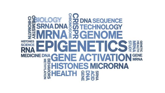 Epigenetics animated word cloud;text design animation tag kinetic typography seamless loop.