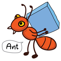 Animals funny
