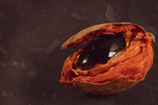 Tropical fruit mamey sliced zapote