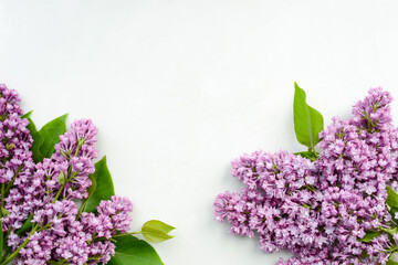 Lilac flowers on white background. Beautiful spring flowers. Floral composition, Flat lay, top...