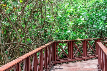 Path with handles built with reddish wooden boards, to walk hiking, in the middle of a forest of...