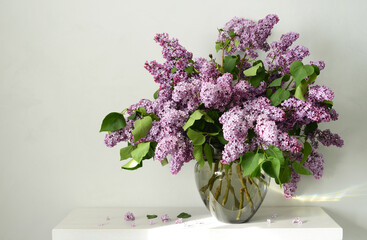 Bouquet of lilac flowers in vase on white table. Beautiful spring flowers. Floral background for...