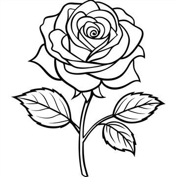 recommend clip art: Rose flower outline illustration coloring book page design, Rose flower black and white line art drawing coloring book pages for children and adults
                    