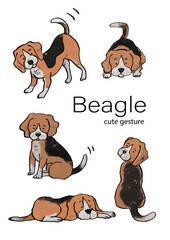 ビーグルセット