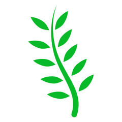 green leaf branch