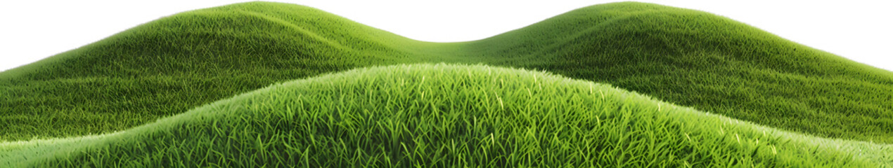 Obraz premium Green grass on transparent background. Green grass landscape transparent.