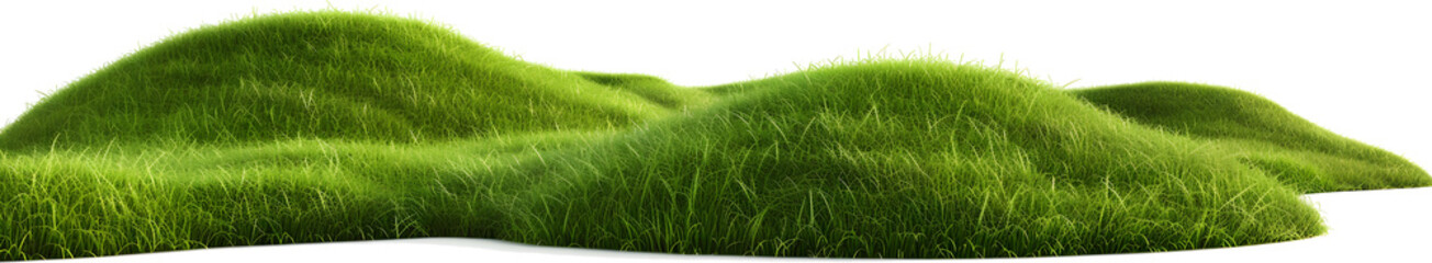 Obraz premium Green grass on transparent background. Green grass landscape transparent.