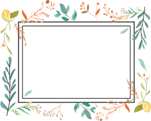 Frame with ornament pattern transparent