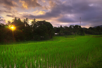 beautiful morning view from Indonesia of mountains and tropical forest