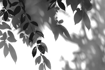 Silhouette of tree branches and leaves gently casting shadows on a white wall, simulating the morning tropical sun. - Powered by Adobe