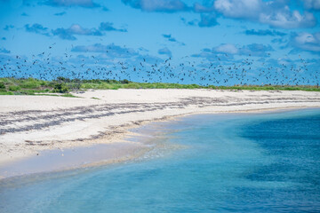 Bush Key with land bridge to Fort Jefferson on Dry Tortugas National Park with sooty terns and...