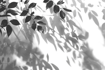 Abstract silhouettes of tree branches and natural leaves casting shadows on a white wall, creating a soft, blurred effect under the morning sun.