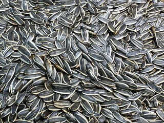 Healthy Lifestyle , Organics Food, Dried Sunflower seed