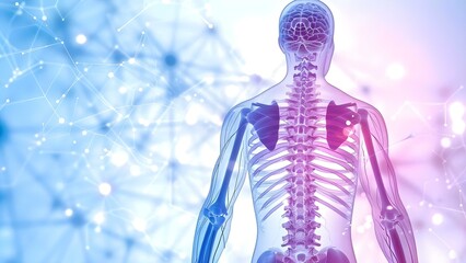 Spinal cord behind body key in anatomy medicine and health themes. Concept Spinal Cord Anatomy, Human Physiology, Neurological Health, Medical Education, Healthcare Research