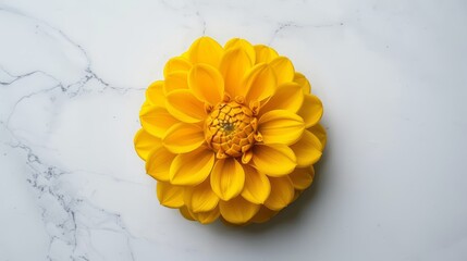   A large yellow flower atop a white marble counter, near a marble wall and floor