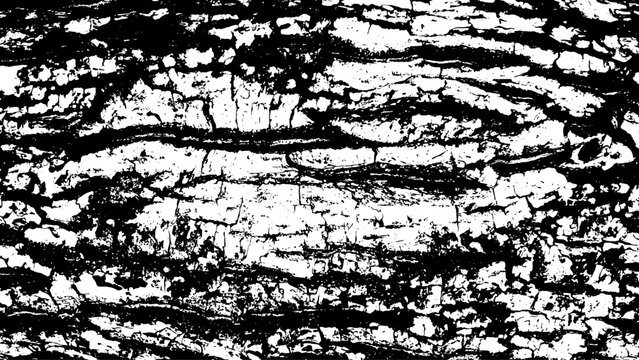 7-71. Tree bark texture effect - illustration. Black and white vector texture with scratch background.	