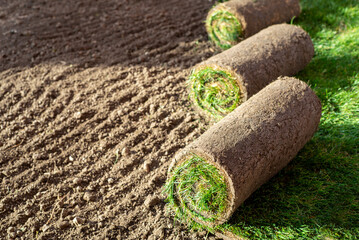 Roll of fresh sod grass planted on a newly landscaped lawn