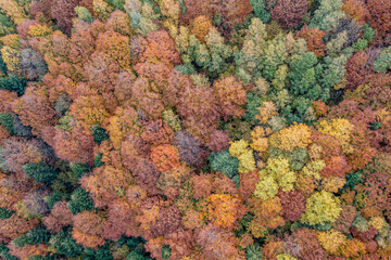 Wieża Koziarz, Małopolskie, Poland © Maciej G. Szling