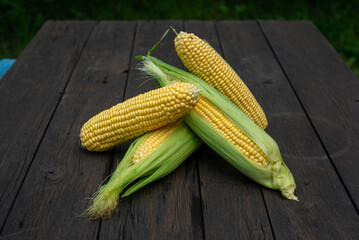 Fresh corn on cobs on rustic wooden table, closeup. Top view with copy space